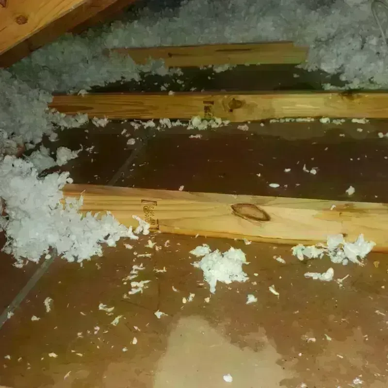 Attic Water Damage in Williamson County, IL